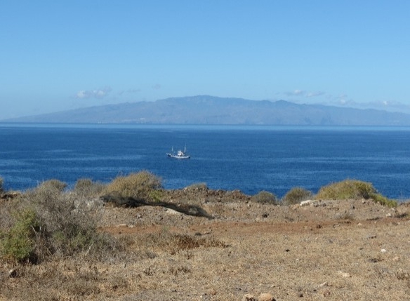 Land in Los Cristianos 505