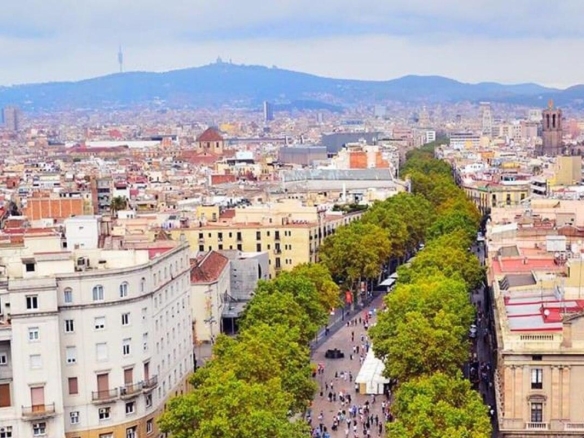 Group OF 3 Top Deluxe Hotels-4 / 5 Stars 786