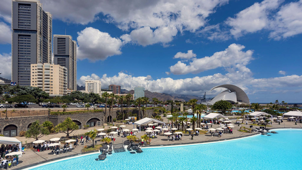 Cheap hotels in Tenerife: what you need to know and top 5 Cheap Hotels In Tenerife